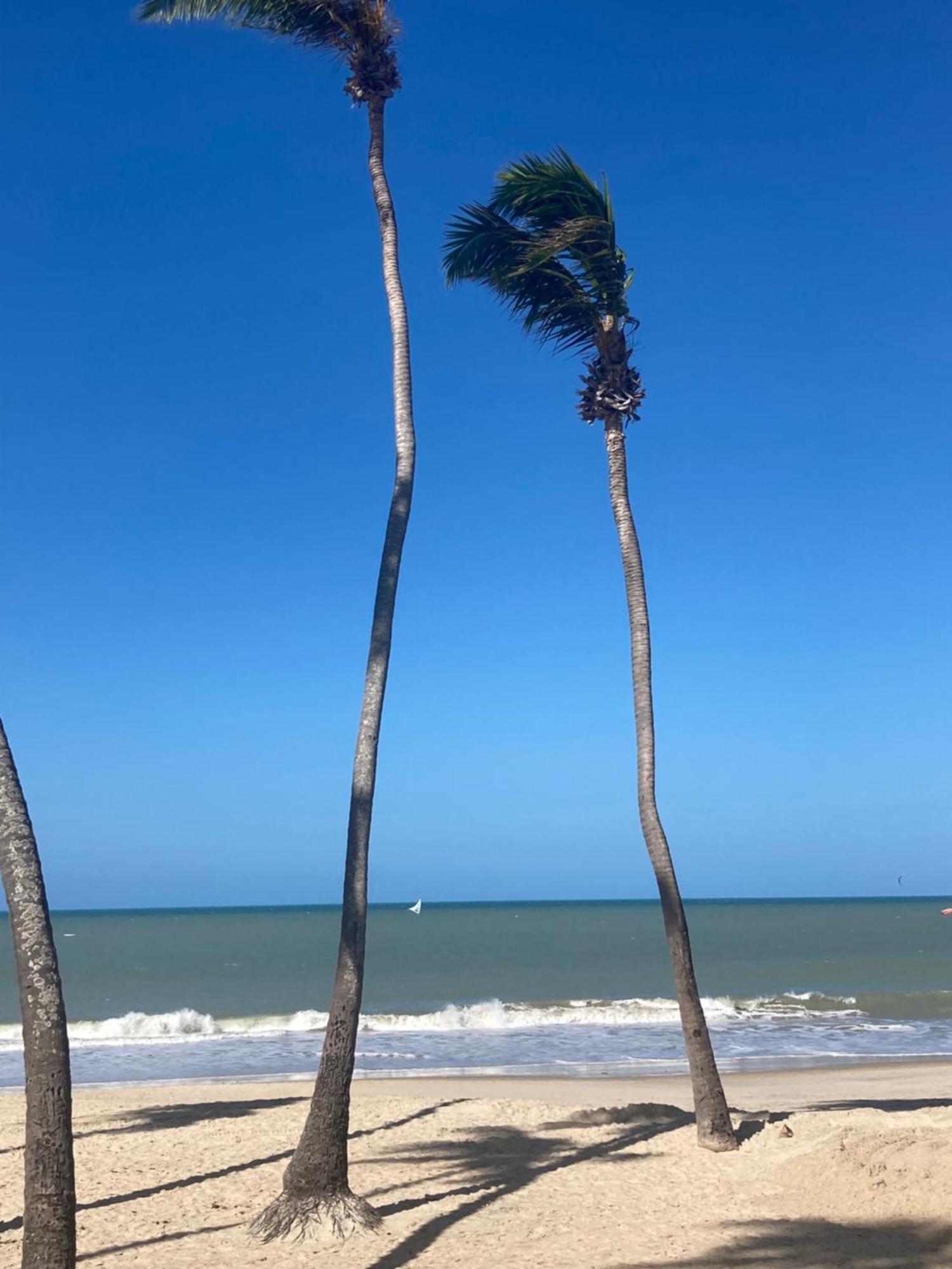 Eco Paradise Cumbuco Pe Na Areia 202 Eksteriør billede