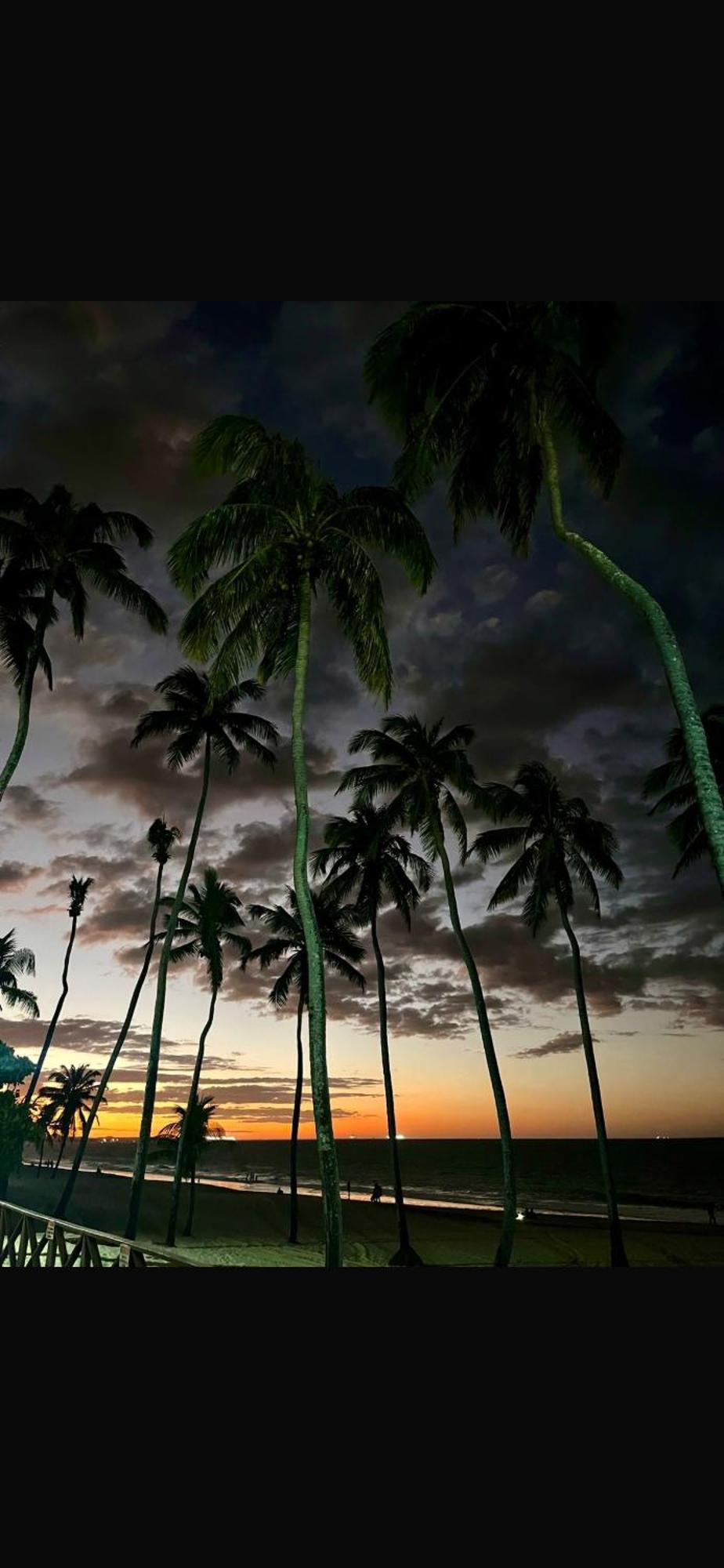 Eco Paradise Cumbuco Pe Na Areia 202 Eksteriør billede